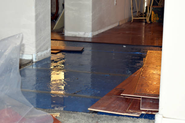 Professional Basement Water Removal technician working in Mendon, MA